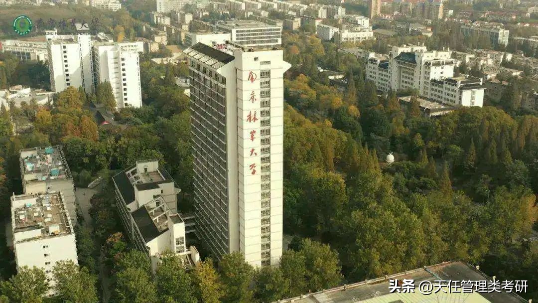 2019年会计专硕南京林业大学,南京林业大学mpacc非全调剂人数