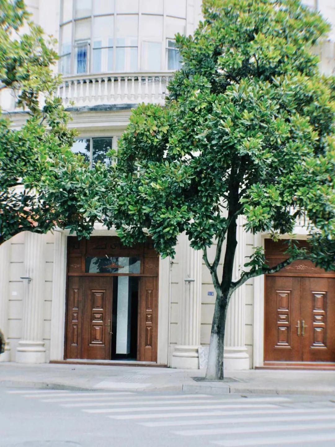 高铁2h直达！这座被忽略的浙江县城，买菜用欧元，连央视都来体验