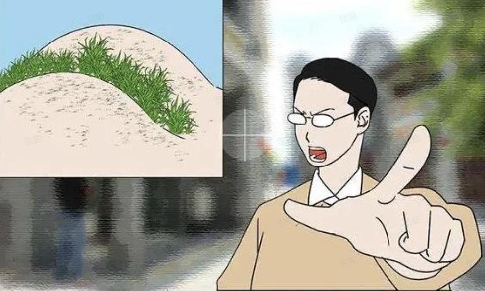 为啥有的人长“屁股毛”，而有的人却不长？为了健康，最好了解下