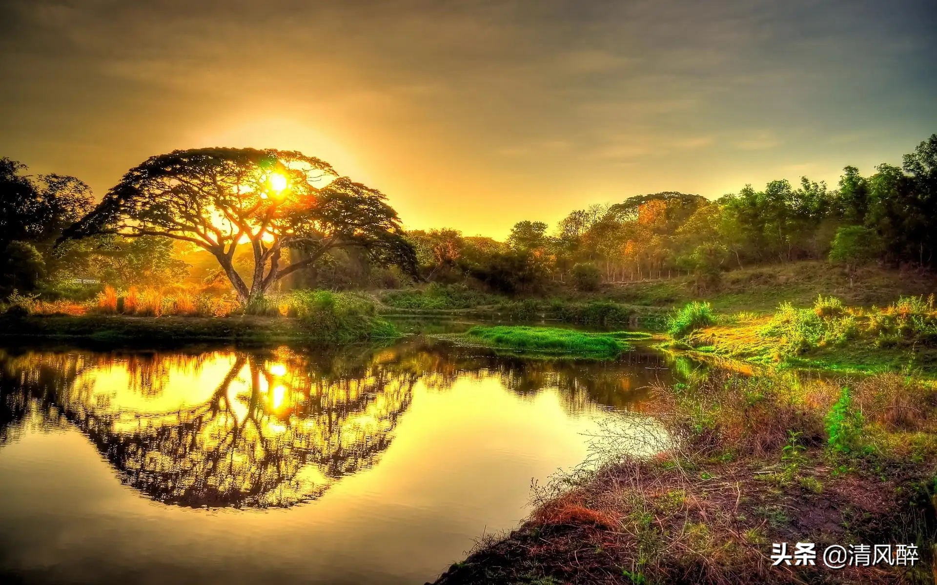 儿子母亲节暖心简短文案,母亲节向日葵暖心简短文案