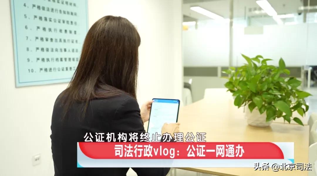 vlog认证在哪里申请,vlog打卡什么时候开通