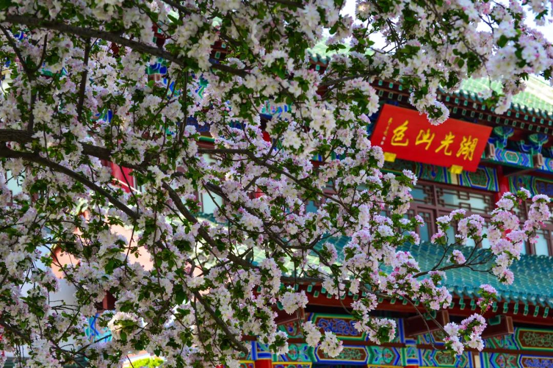 济南的冬天是一篇诗意盎然的散文,赏析济南的春天句子