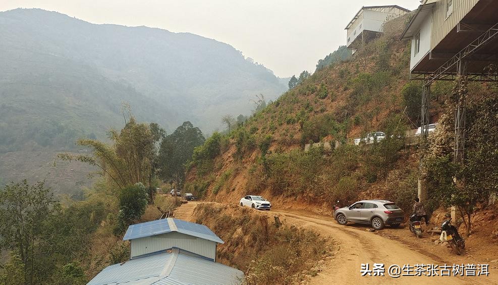 勐海华耀茶厂易武正山普洱茶价格,勐海易武临沧的普洱茶有什么区别