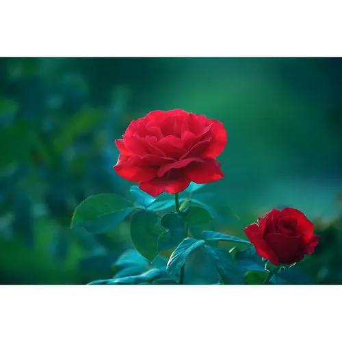 人到中年真正有城府的人,人到中年为人处世时有个最大忌讳