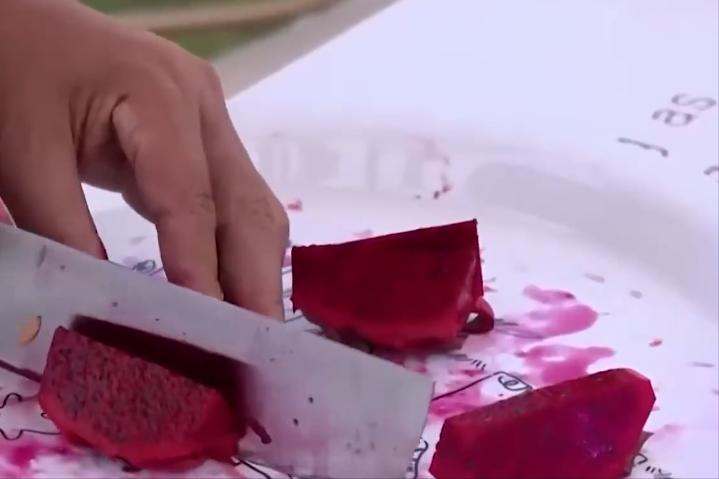 小伙子种火龙果四年身价过亿,种植火龙果一年挣1千万