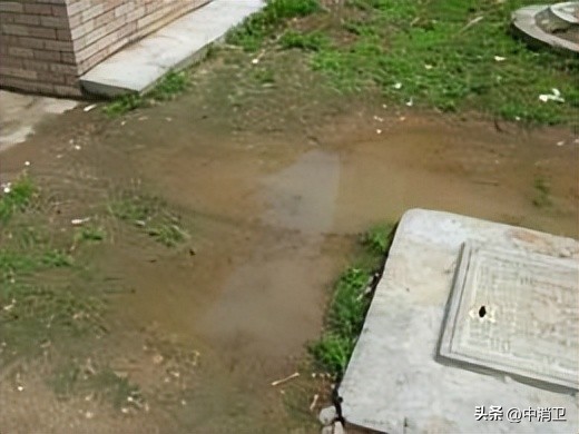 虫害控制的最新标准,虫害控制预防分哪几个阶段