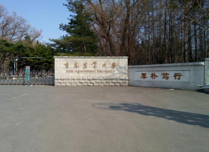 吉林农大食品专业,中国农大食品专业