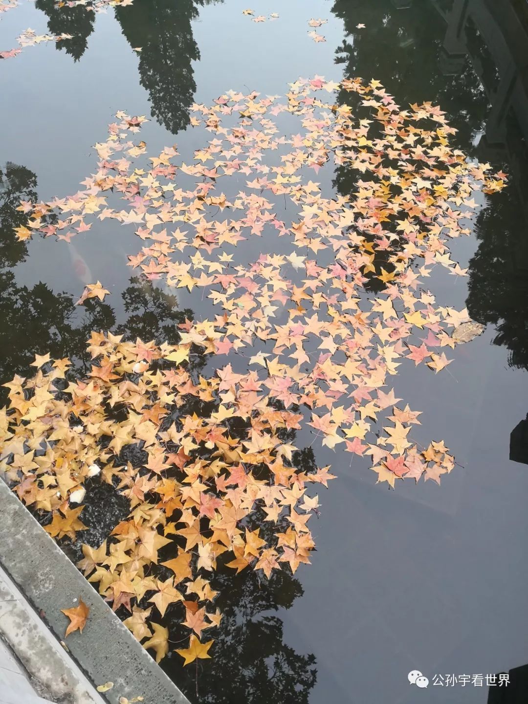 北京的香山上,北京的香山海拔多少米