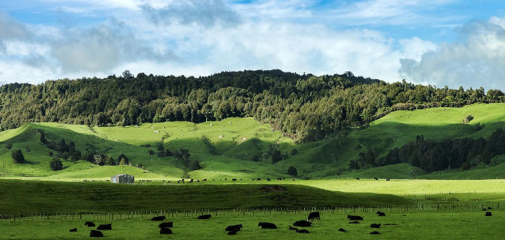 你不知道的新西兰冷知识,新西兰生活冷知识讲解视频