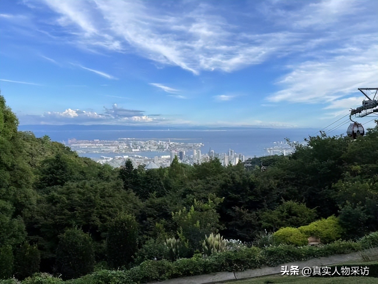 我19岁打工，21岁闯日本，曾因语言不通被骂哭，靠代购年销售6亿