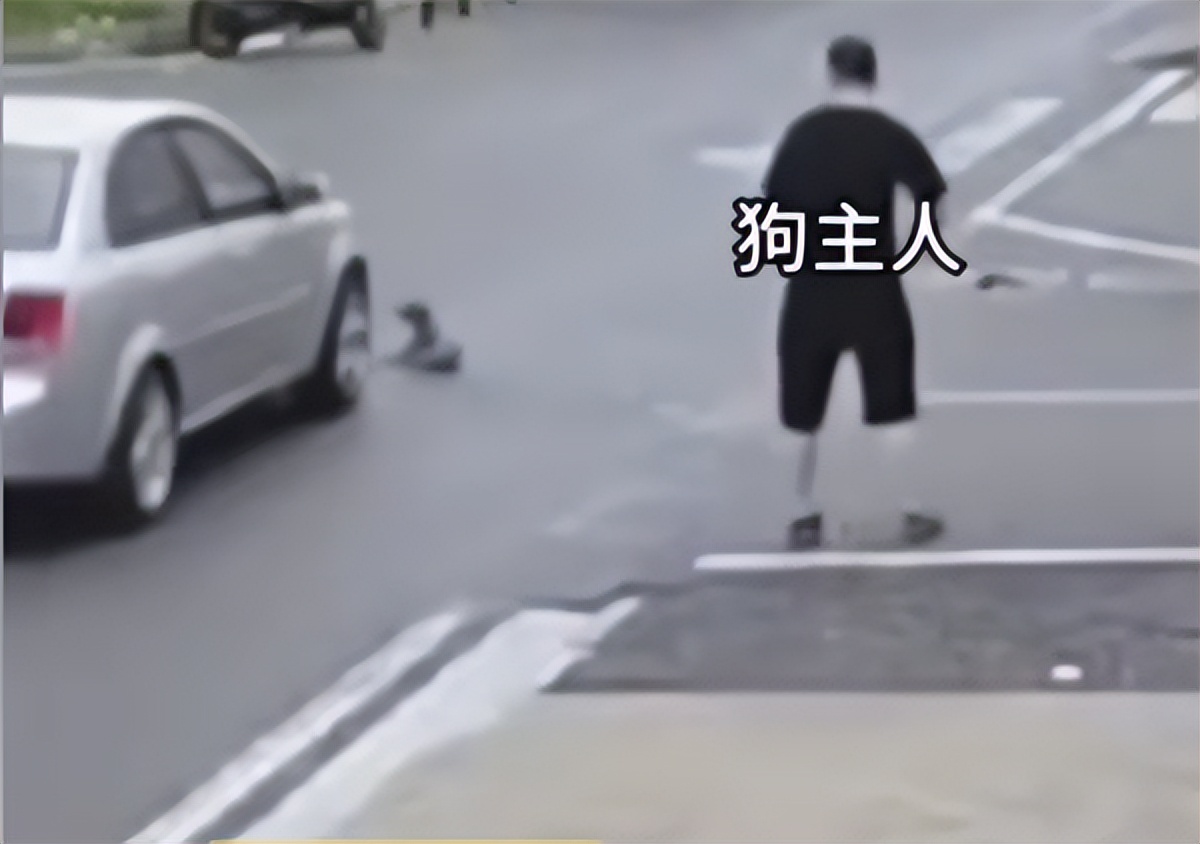 骑车被狗咬了要赔偿吗,狗把车咬了保险公司赔不赔