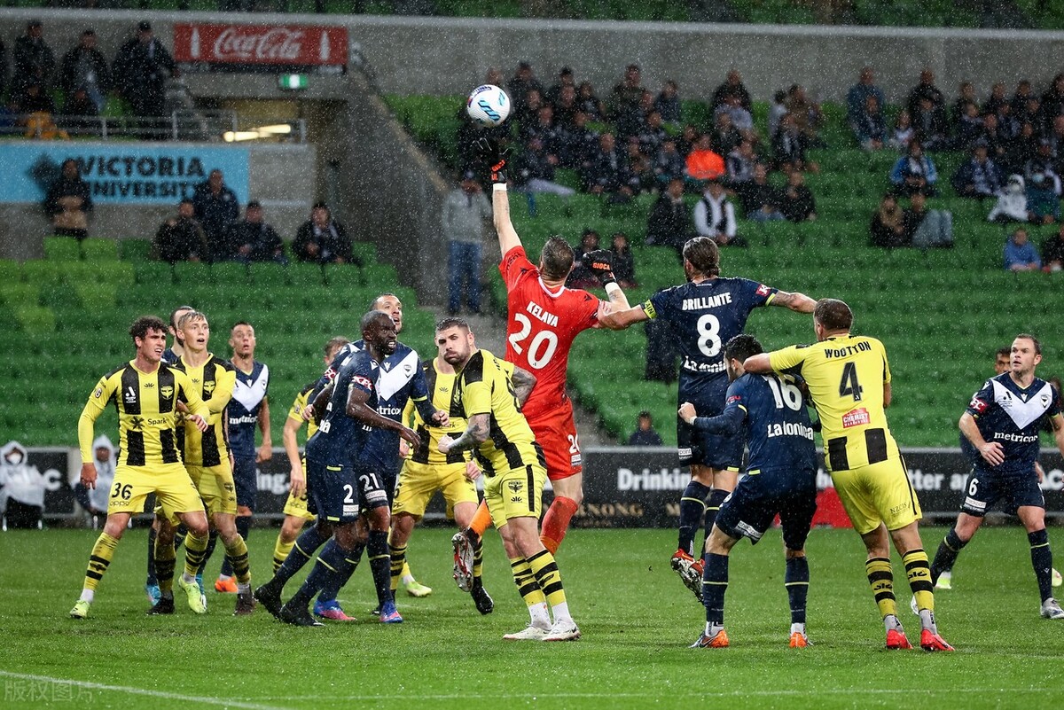 阿德莱德联vs惠灵顿凤凰分析,阿德莱德vs惠灵顿现场直播