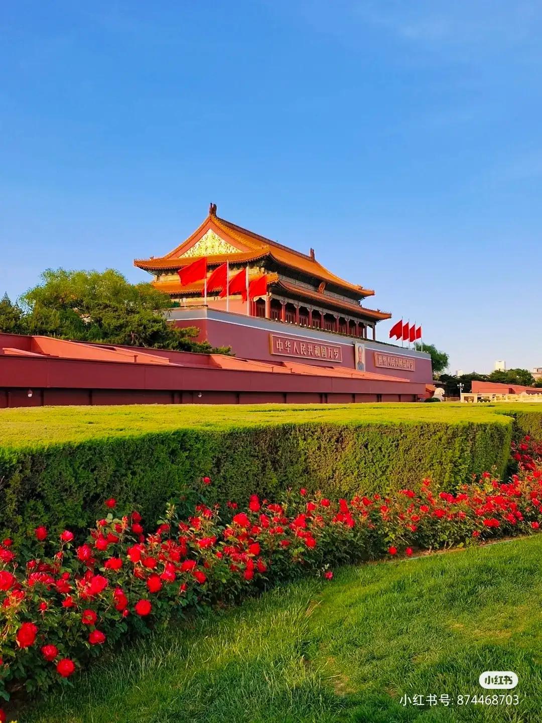 四个直辖市都是哪几个,中国四直辖市哪个最大