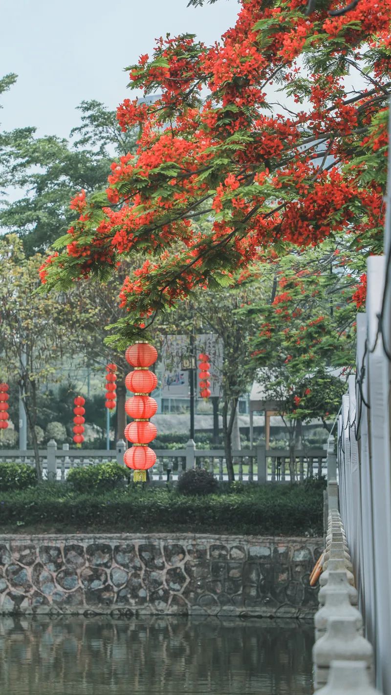深圳宝安区两日游,深圳宝安区一日游推荐自由行