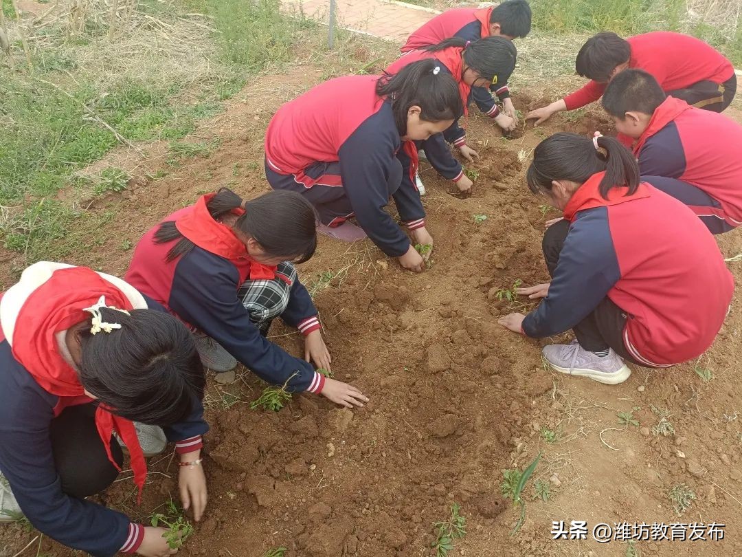 新闻周播报完整版,新闻播报周播