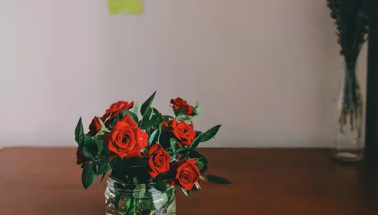 人到中年除了家人一无所有,人到中年唯一的依靠是能力与存款