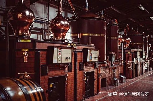 白兰地和威士忌哪种更有收藏价值 (威士忌和白兰地有何不同)