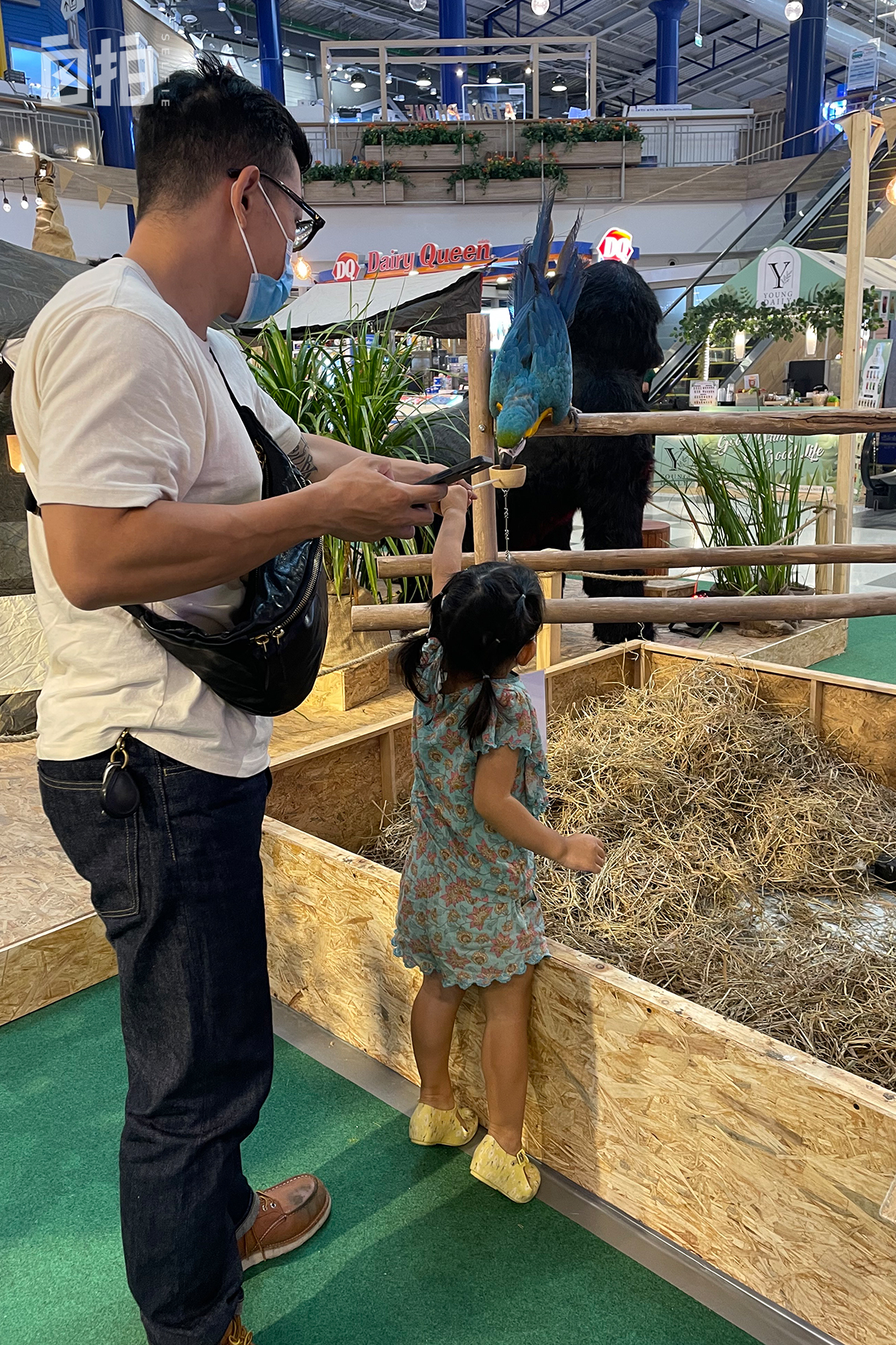 我，北京人，从国企辞职，卖掉北京学区房，带着孩子到泰国定居