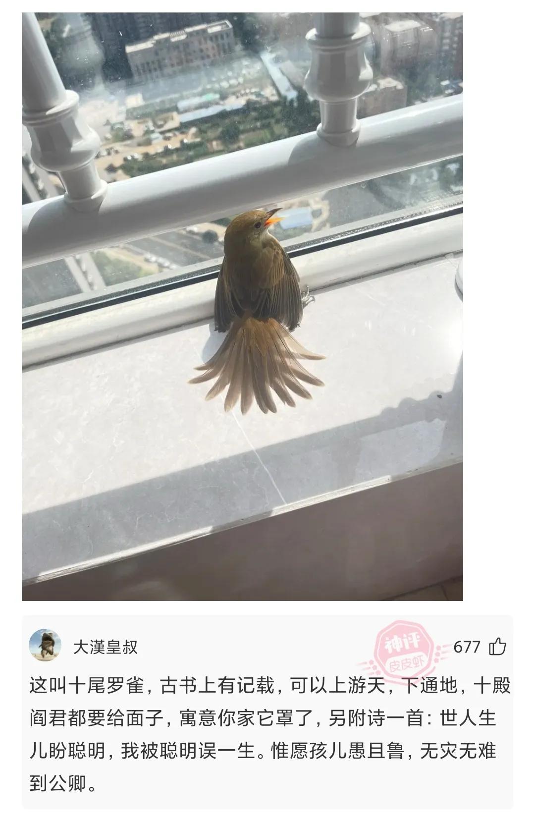 神回复我喝醉了,神回复我错了