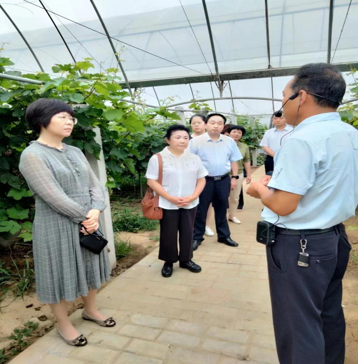 老科协助力乡村振兴绽放银发风采,贵州省科协助力乡村振兴联合体