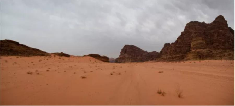 逆天改命绝地求生,逆天改命从小蝌蚪做起