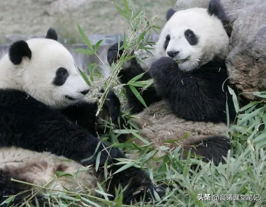 三年级下册语文期中必考仿写句子,收藏三年级下册语文