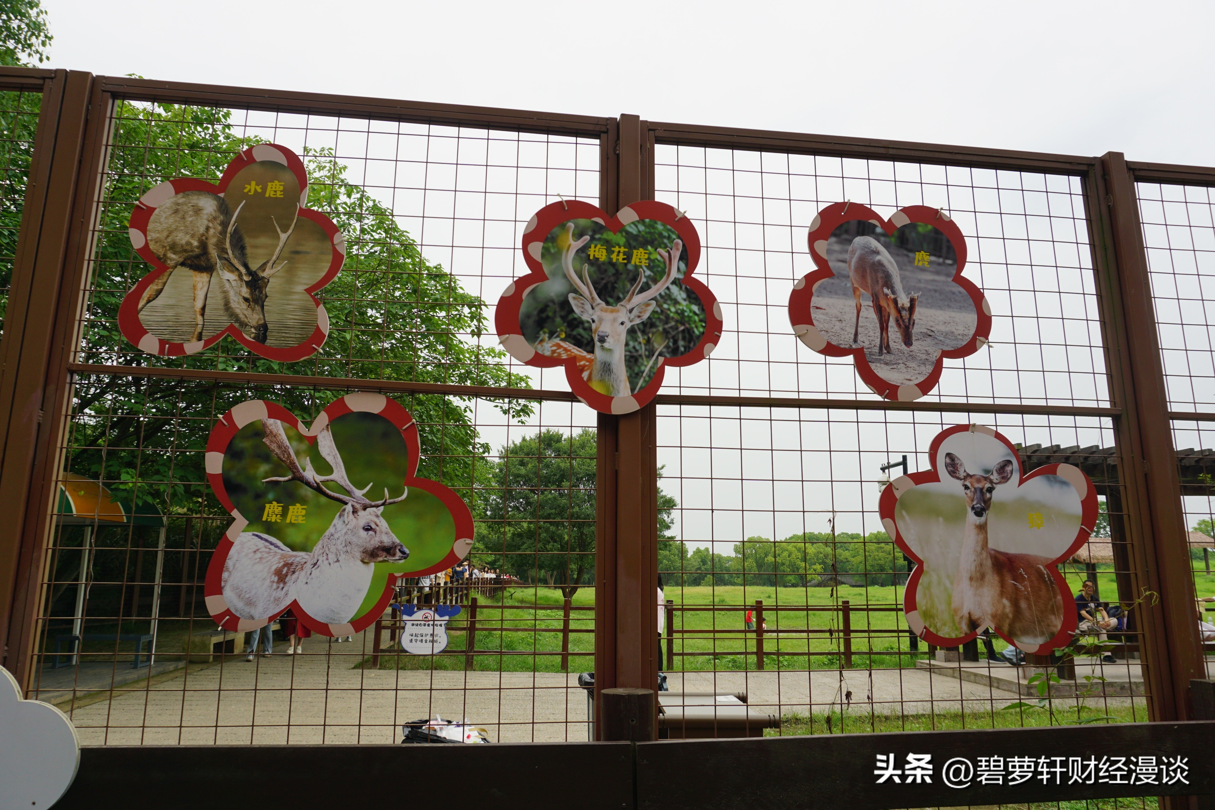 穿越5000年漫步良渚古城遗址公园,穿越千年探秘南粤