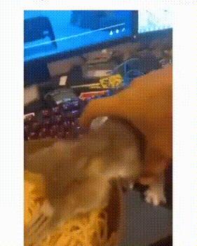 电脑cpu温度高的图片,电脑cpu温度对照表