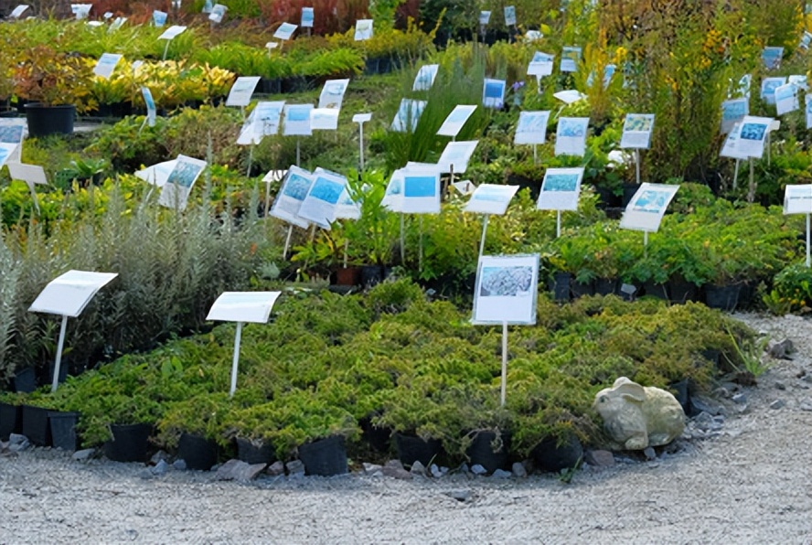 粮食中真菌的检测,粮食中真菌毒素检测的优缺点