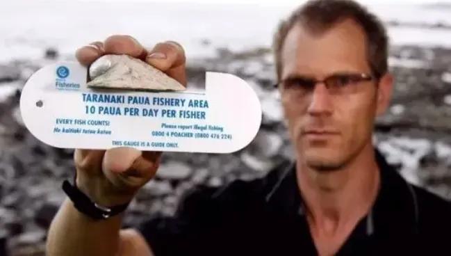 游客海边捡到一只鲍鱼被要500元,天价鲍鱼500一只