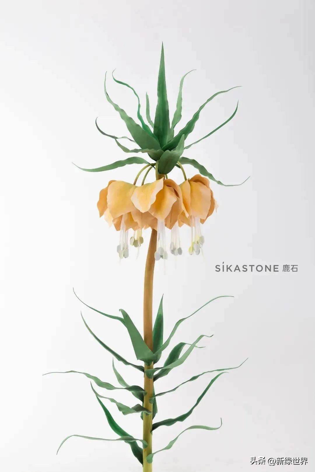 一组纸艺作品,令人惊艳的纸艺作品