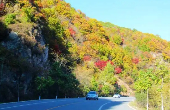 本地租车收费低,跨省租车价格一天多少钱