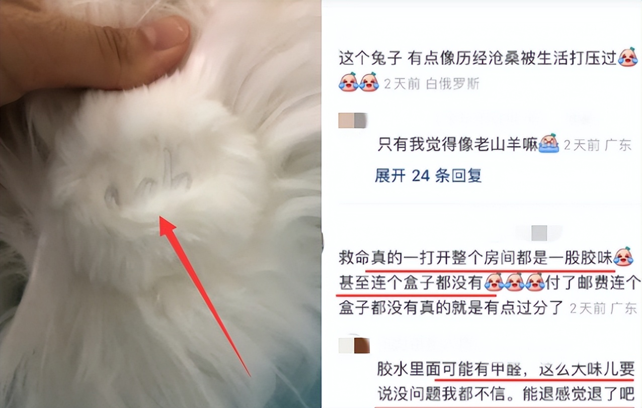 又一明星翻车,又一位当红女星翻车了