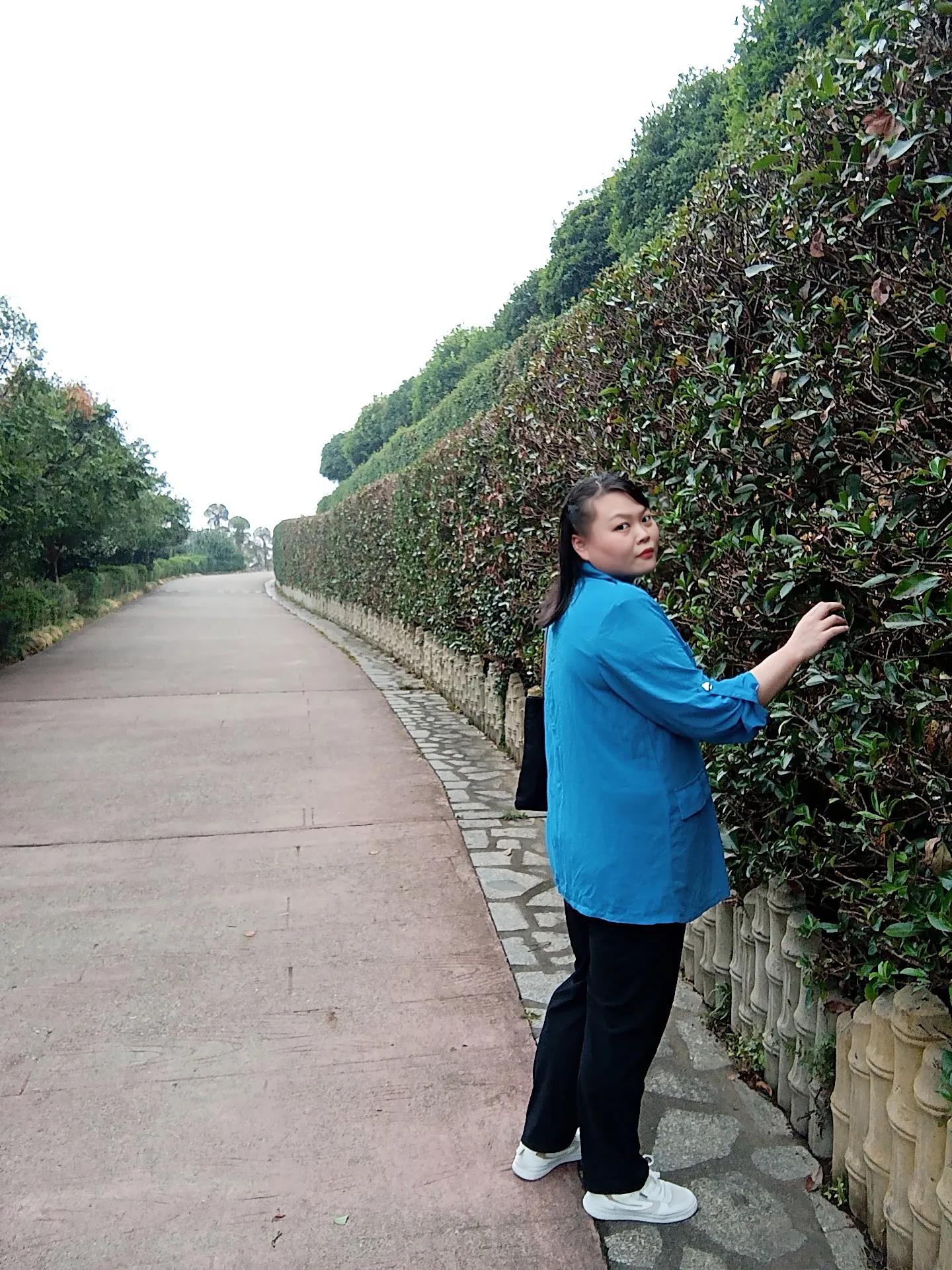 姚玫利：四季花开意蕴无穷