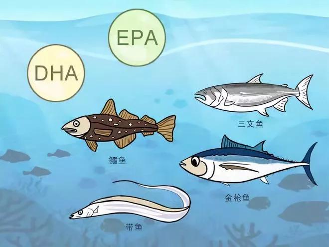 深海鱼油靠谱吗,深海鱼油到底怎么样