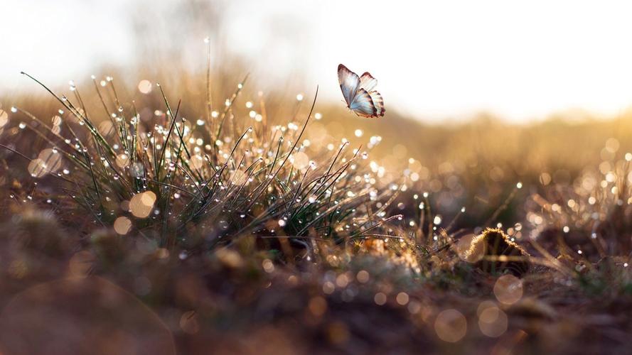 周霖最后结局怎么样了,周霖最后结局