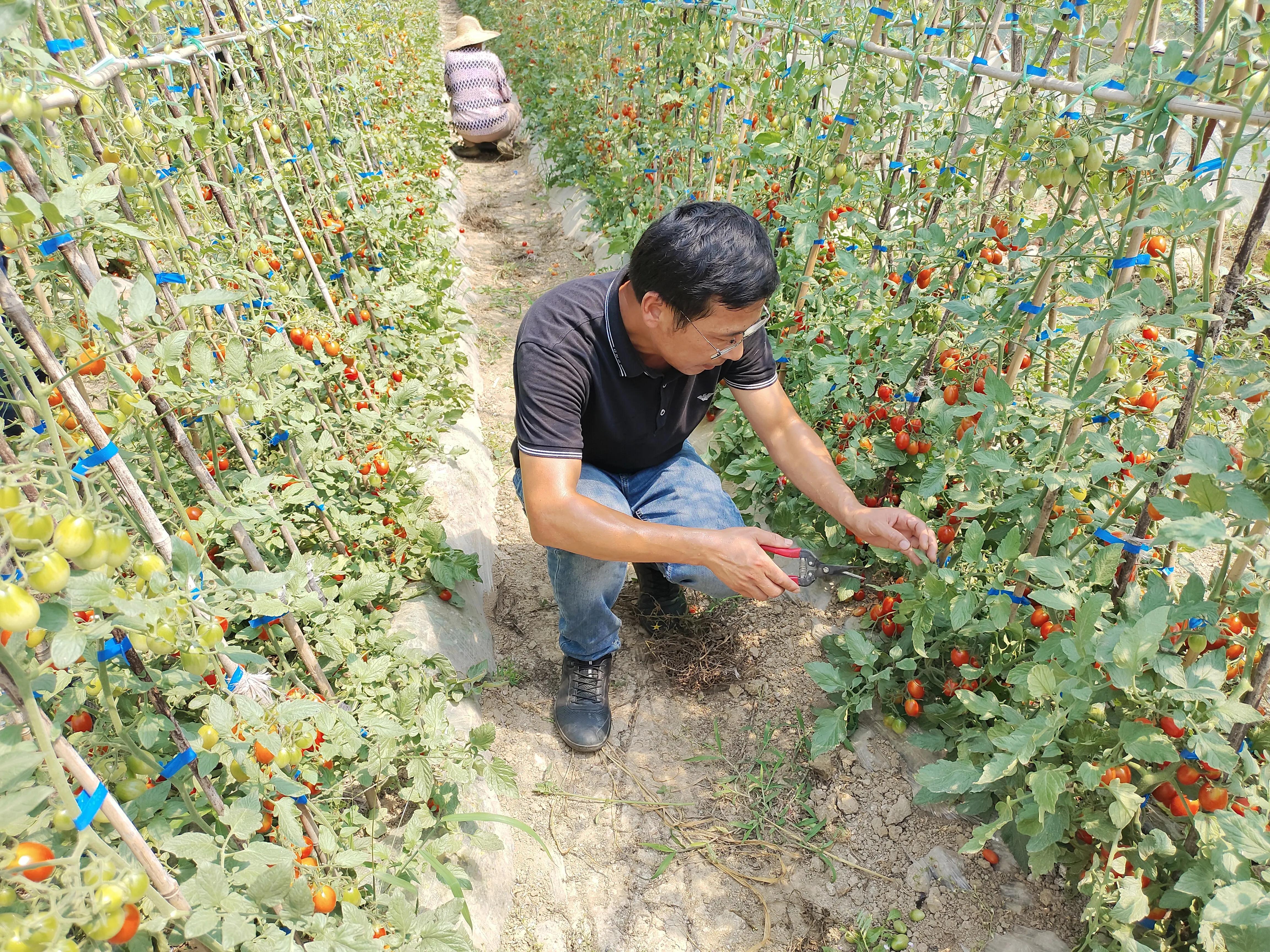 南京市高淳区新时代农人——荀新富：跨界创业“种”出美好新生活