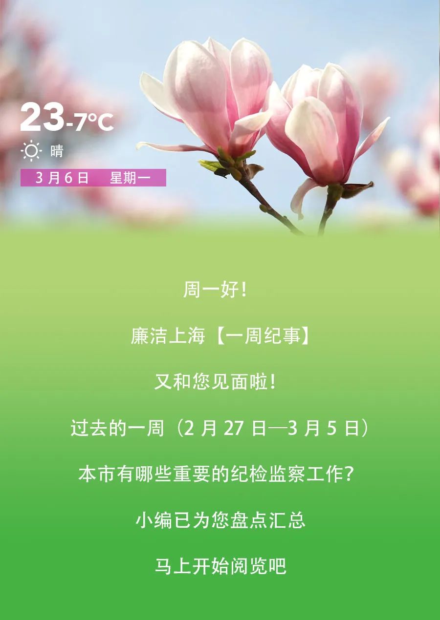 纪检监察干部队伍教育整顿上海 (上海纪检监察干部队伍教育整顿)