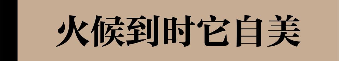 主厨第二代,新主厨名字
