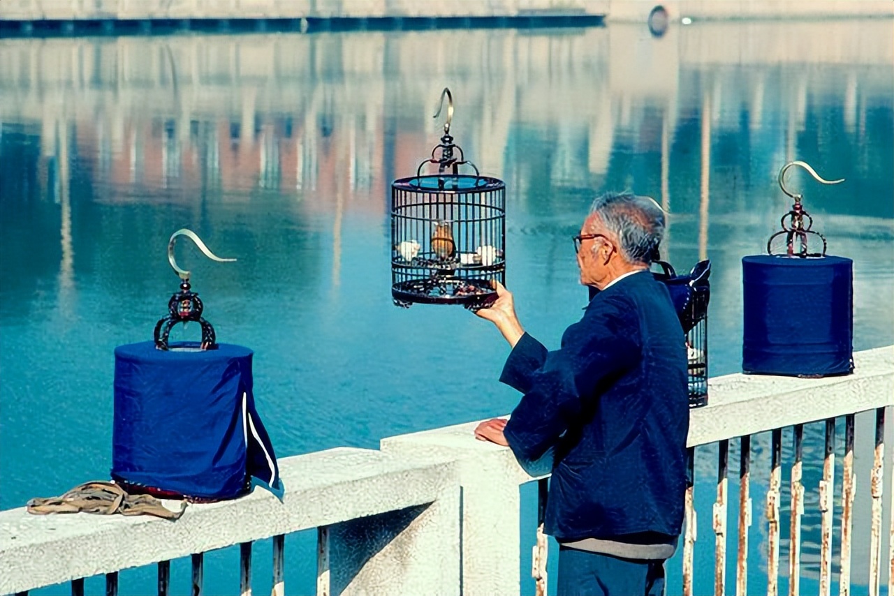 天津海滨区老照片,天津旧景照片