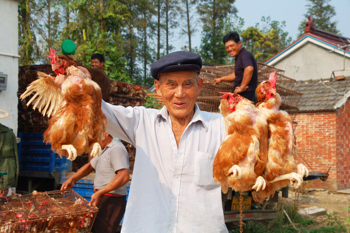 鐙愮嫺浜т粩琚汉鏁戝姪鎶ユ仼,鐙愮嫺杩涢浮鑸嶅挰姝婚浮