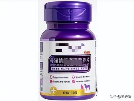 不开刀绝育手术,不打针不手术怎么让母猫绝育