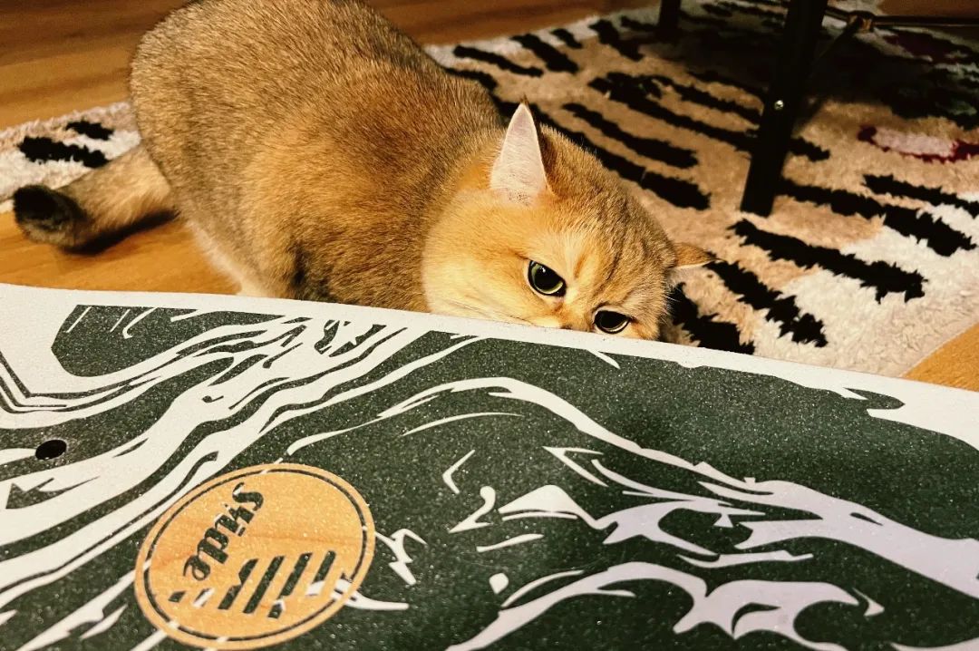 滑板的尽头是冲坡吗,滑板的尽头是什么