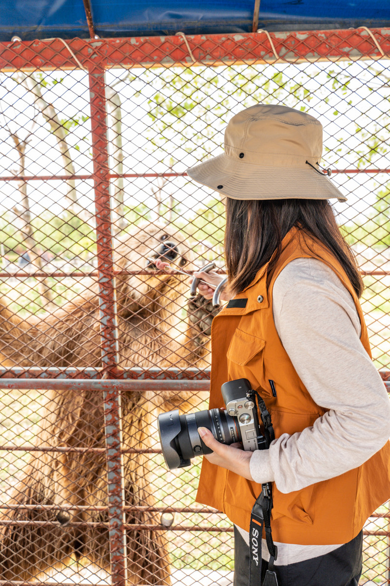 宿州两日游,安徽宿州一日游推荐