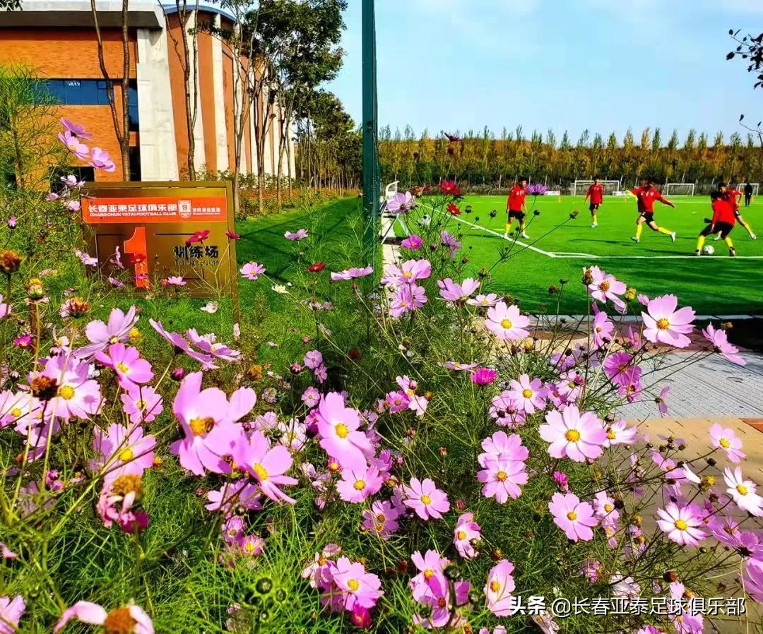 亚泰集团抗击疫情,长春亚泰青训05梯队名单