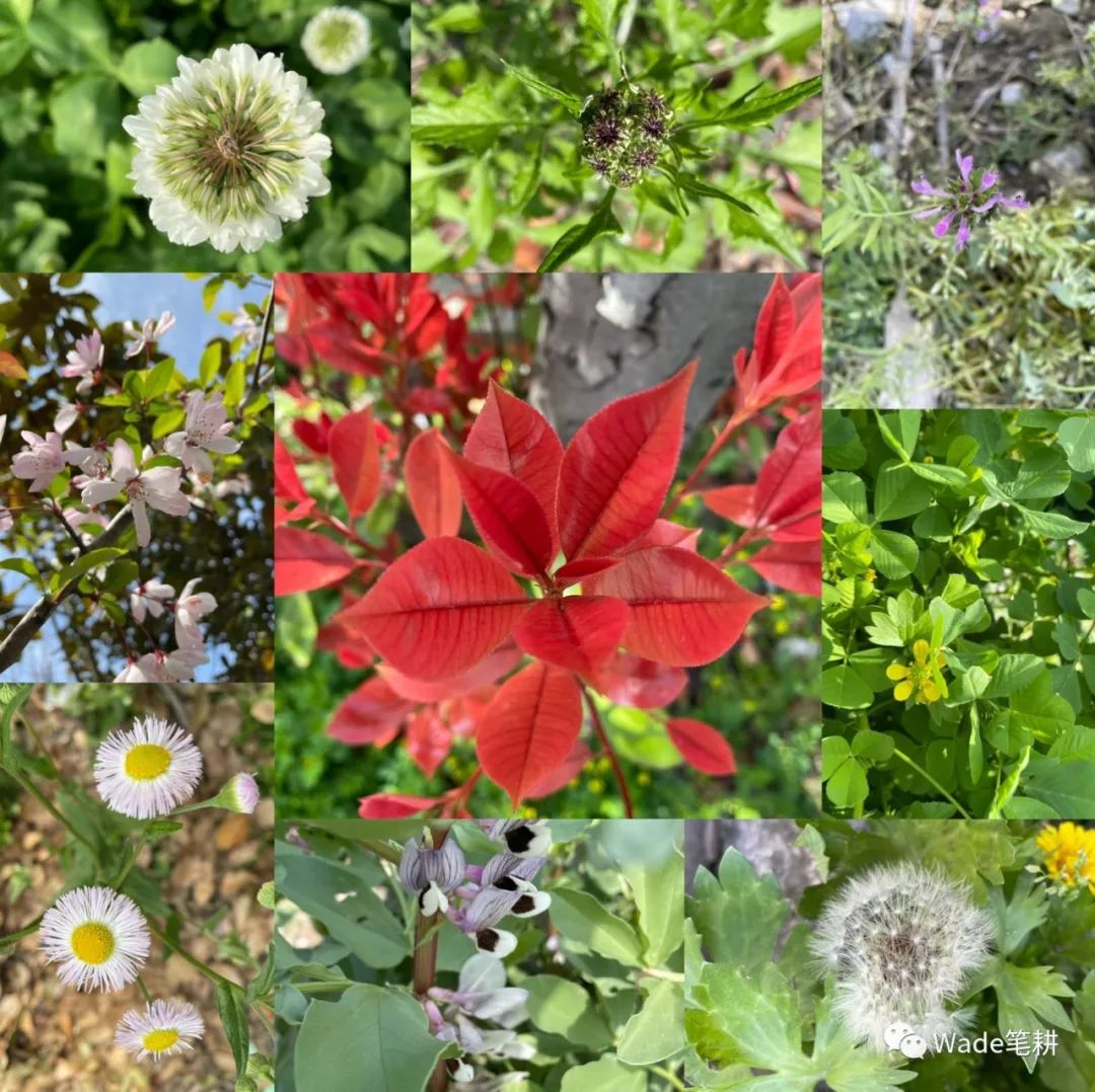 不要问我过得好不好完整版,不要问我过得好不好图