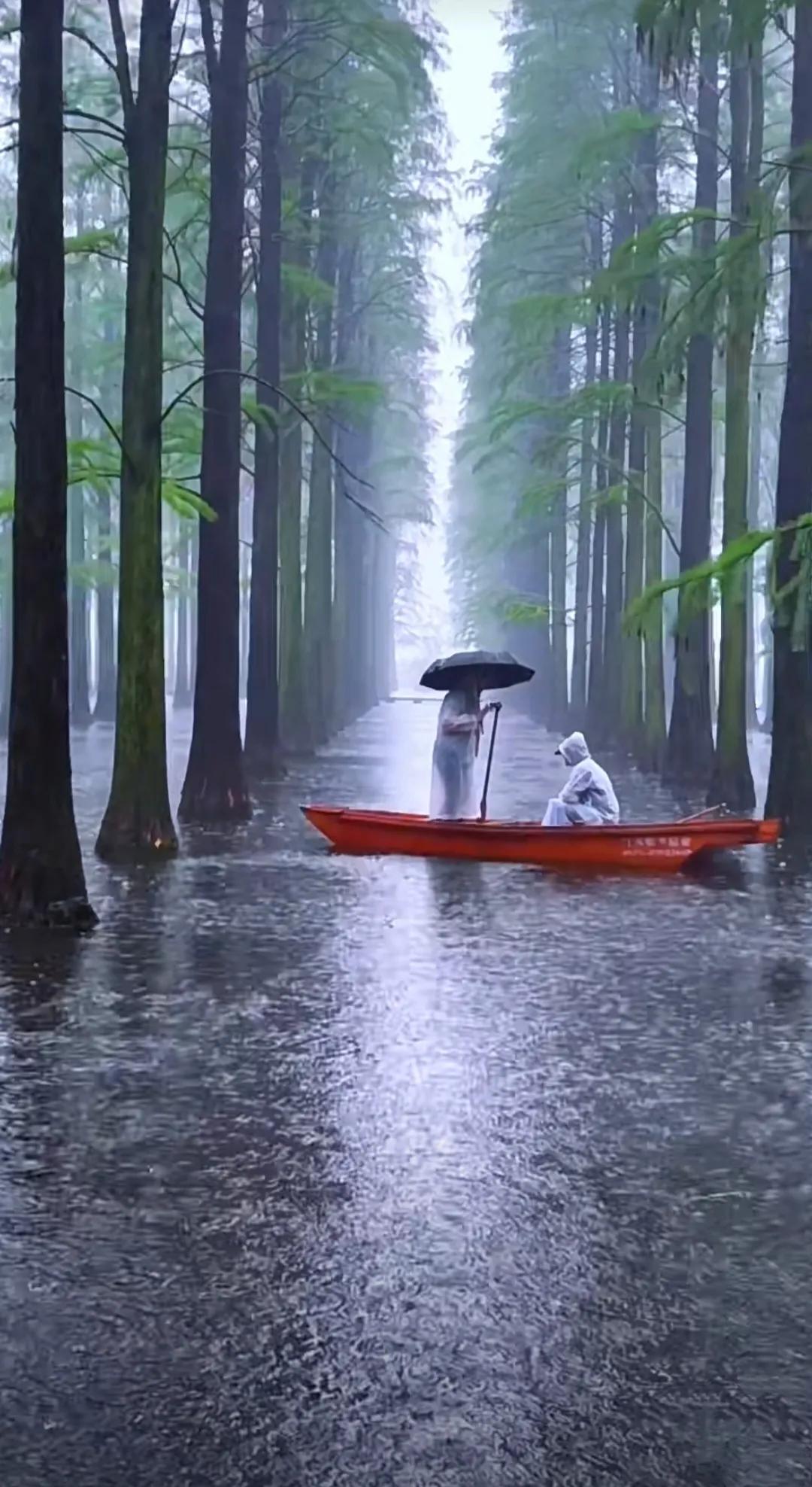 扬州渌洋湖湿地,江苏扬州渌洋湖湿地公园