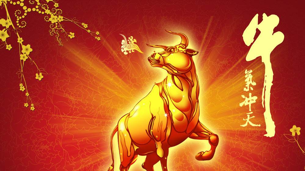 中国股市的至暗时刻,中国股市发布最新信息