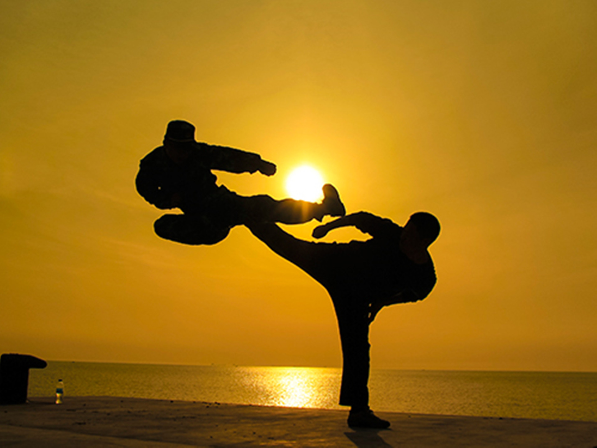 螳螂拳大师于海照片,螳螂拳于海李连杰