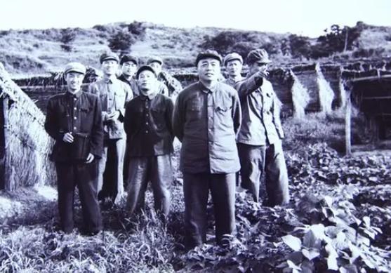 1952年马家军叛乱,彭德怀病床上命令廖汉生:剿不干净提头来见我